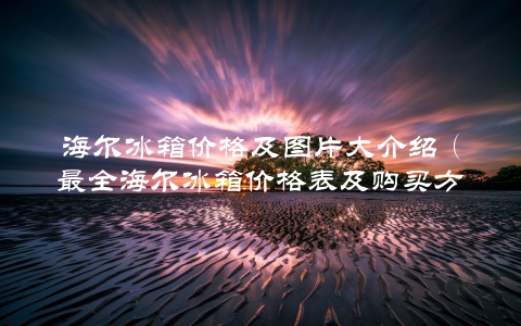 海尔冰箱价格及图片大介绍（最全海尔冰箱价格表及购买方法）