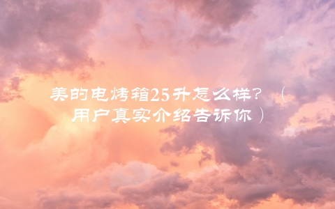 美的电烤箱25升怎么样？（用户真实介绍告诉你）