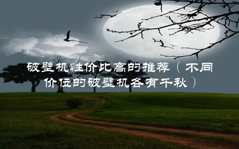 破壁机性价比高的推荐（不同价位的破壁机各有千秋）