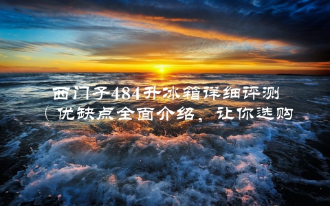 西门子484升冰箱详细评测（优缺点全面介绍，让你选购更明智）