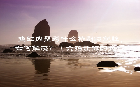 鱼缸内壁为什么特别快就脏，如何解决？（六招让你的鱼缸一直保持清洁）