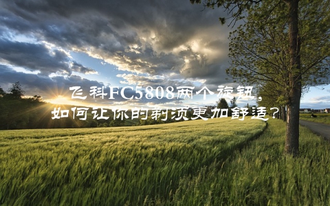 飞科FC5808两个旋钮，如何让你的剃须更加舒适？