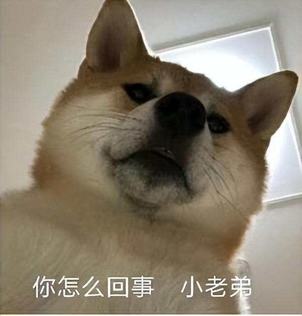 配置拉满!明年最强的性能旗舰,杀回来了