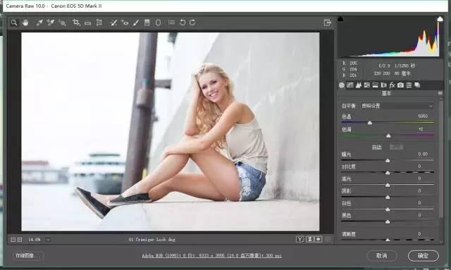 再也不用为图片调色烦恼了!2019版PS调色插件Camera Raw10.4送你
