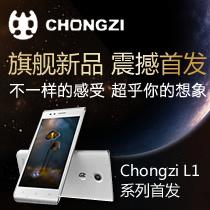 华为荣耀畅玩4C