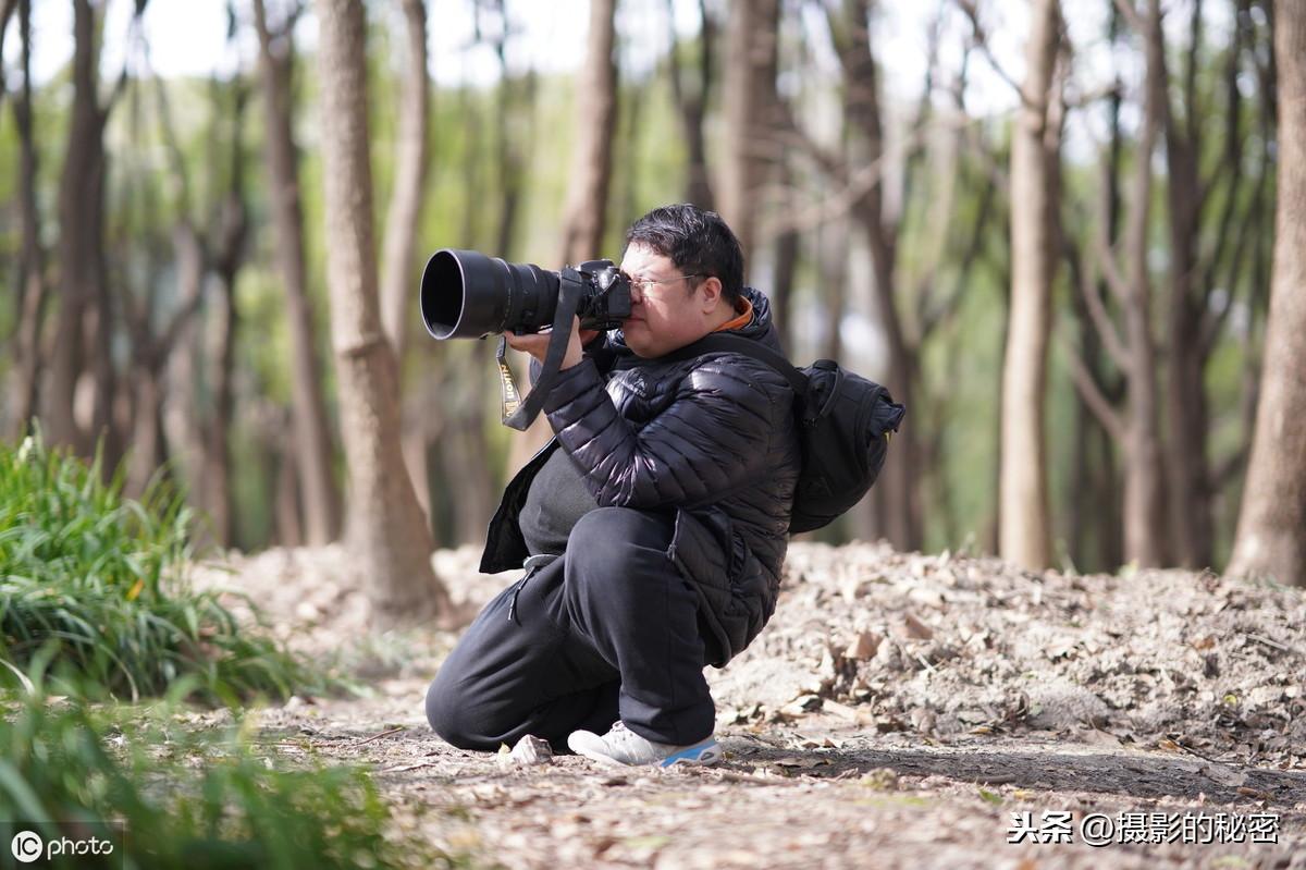 摄影圈让人讨厌的4个乱象，不止老法师器材党