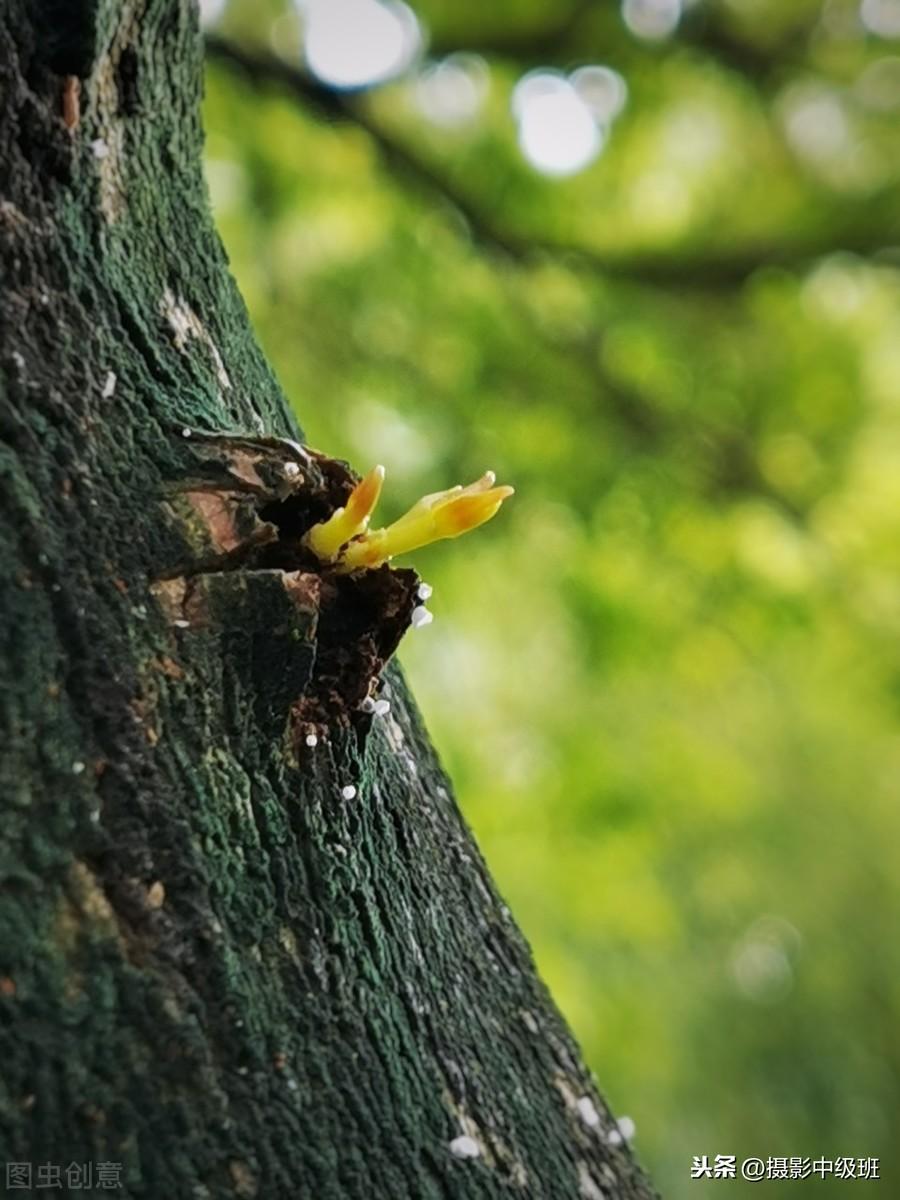 图解十五种构图方法，摄影新手必备的，十五种经典构图技巧