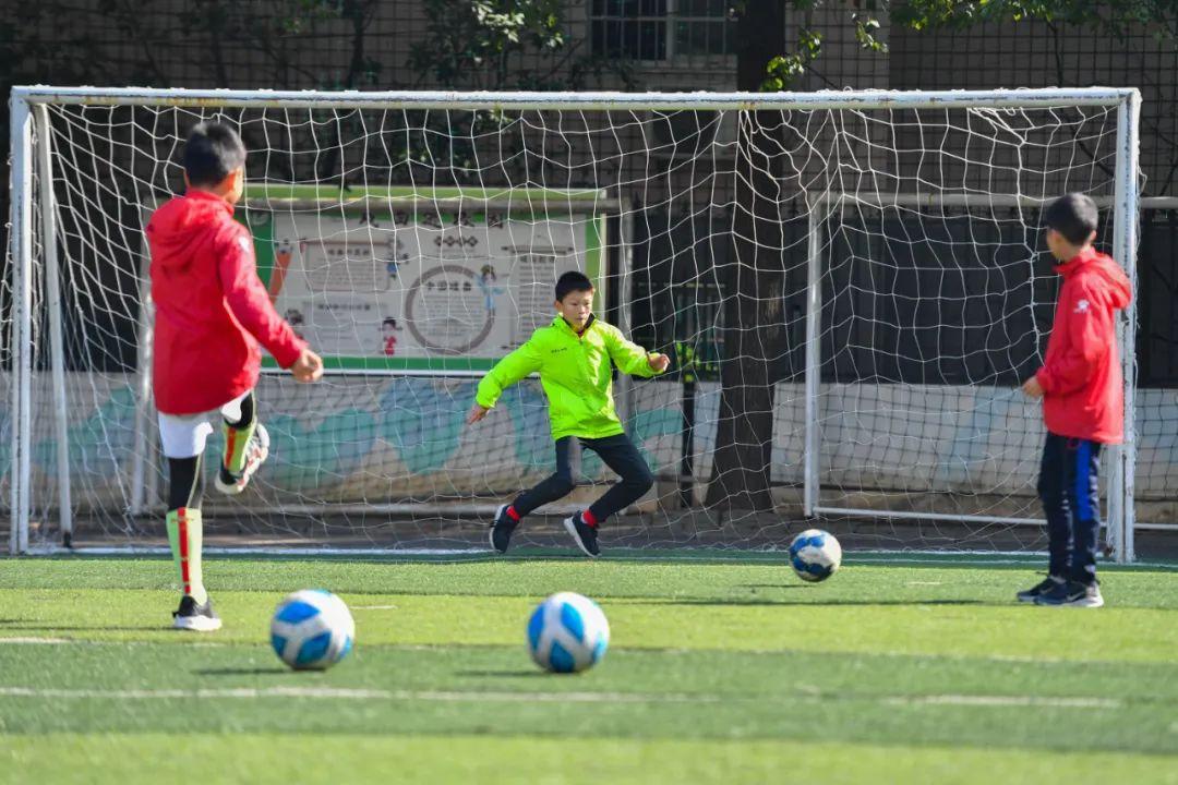 浅谈国际体育教育的业余原则