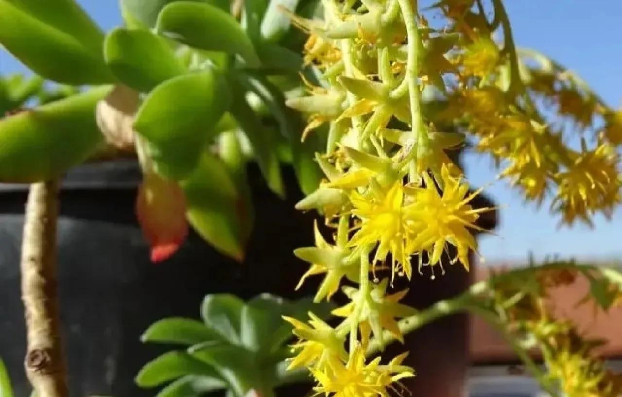 摄影第96期：索尼HX400相机怎么样？