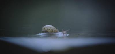 最美的季节--使用佳能C100拍摄电影感画面