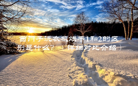 西门子洗衣机烘干1和2的区别是什么？（详细对比介绍）