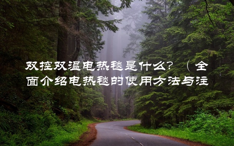 双控双温电热毯是什么？（全面介绍电热毯的使用方法与注意事项）