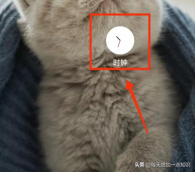 闹钟设置每天怎么设置（请问设置闹钟怎么设置）