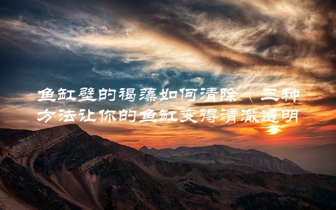 鱼缸壁的褐藻如何清除（三种方法让你的鱼缸变得清澈透明）