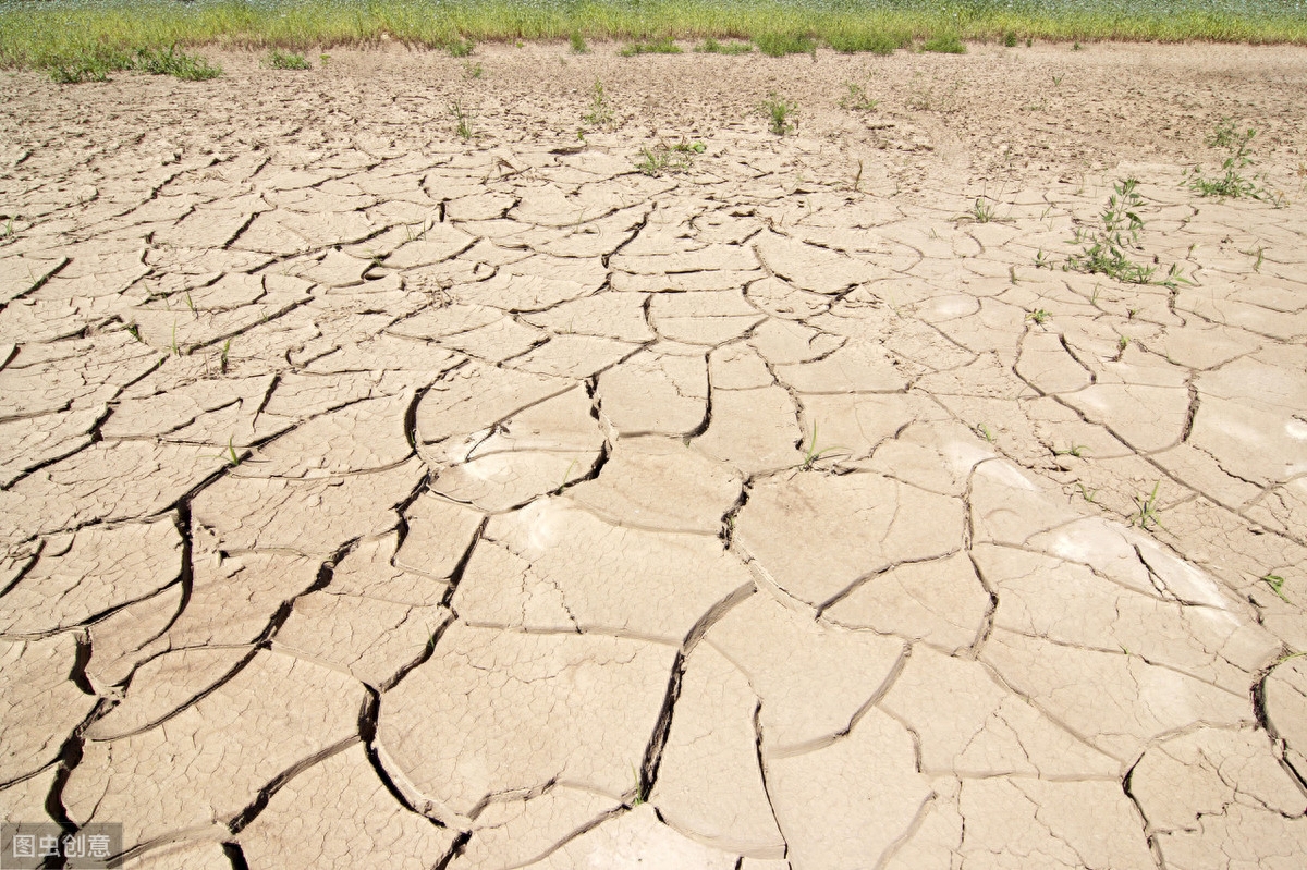 15秒记一个单词(第1063个)severe