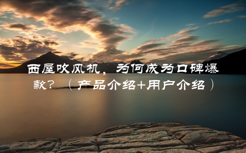 西屋吹风机，为何成为口碑爆款？（产品介绍+用户介绍）