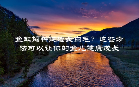 鱼缸饲料残渣长白毛？这些方法可以让你的鱼儿健康成长