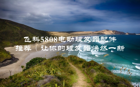 飞科5808电动理发器配件推荐（让你的理发器焕然一新）
