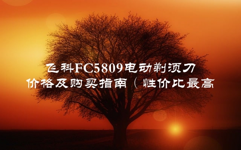 飞科FC5809电动剃须刀价格及购买指南（性价比最高的选择）