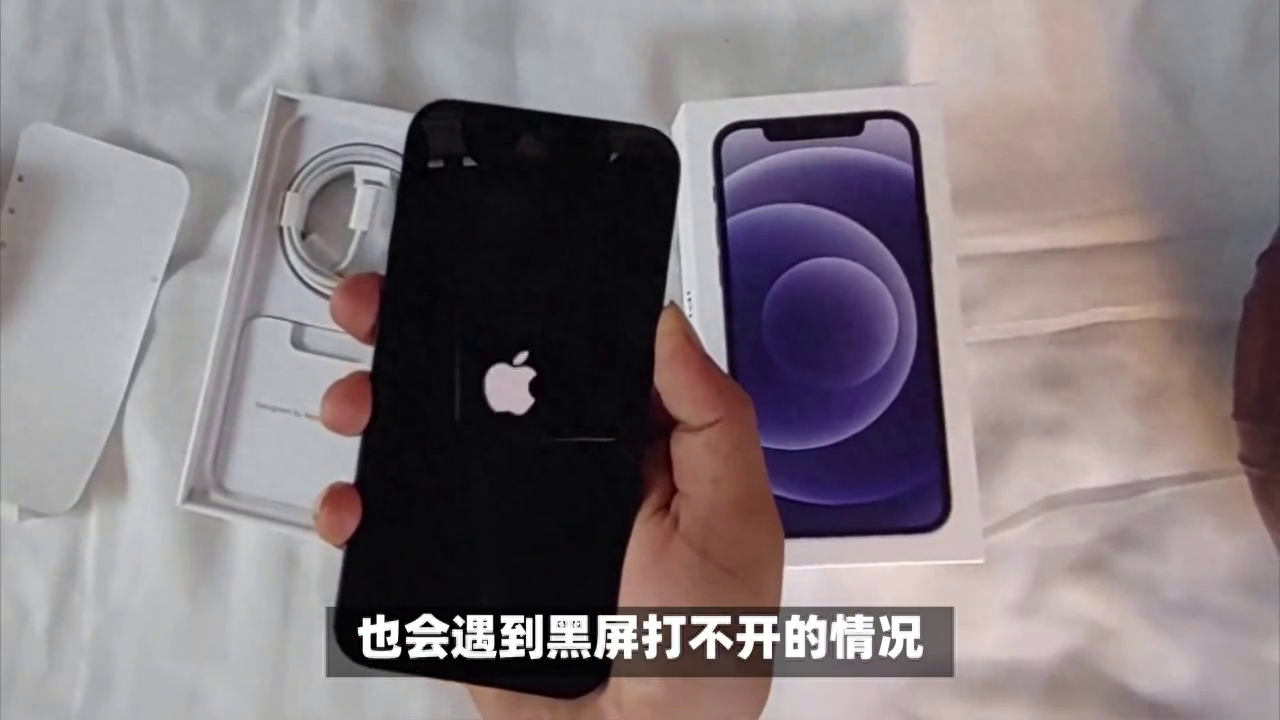 救命啊！我的苹果手机黑屏了怎么办？五招帮你修复