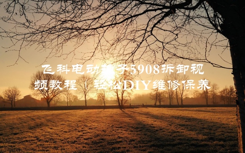 飞科电动推子5908拆卸视频教程（轻松DIY维修保养）