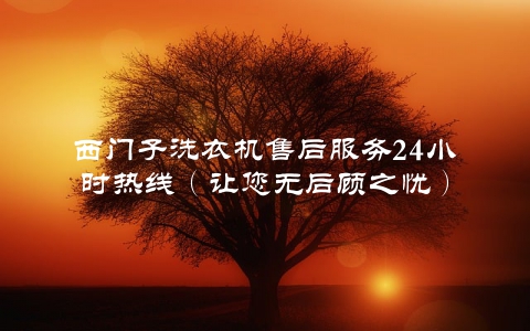 西门子洗衣机售后服务24小时热线（让您无后顾之忧）