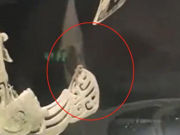 青铜神树上惊现壁虎？四川三星堆博物馆回应