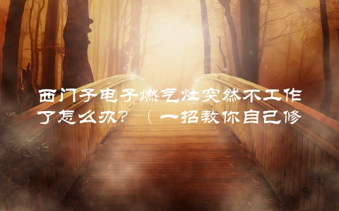 西门子电子燃气灶突然不工作了怎么办？（一招教你自己修理）