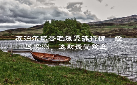 苏泊尔球釜电饭煲排行榜（经过实测，这款最受欢迎）