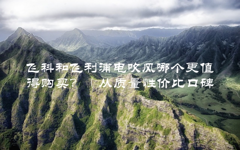 飞科和飞利浦电吹风哪个更值得购买？（从质量性价比口碑等多角度分析）