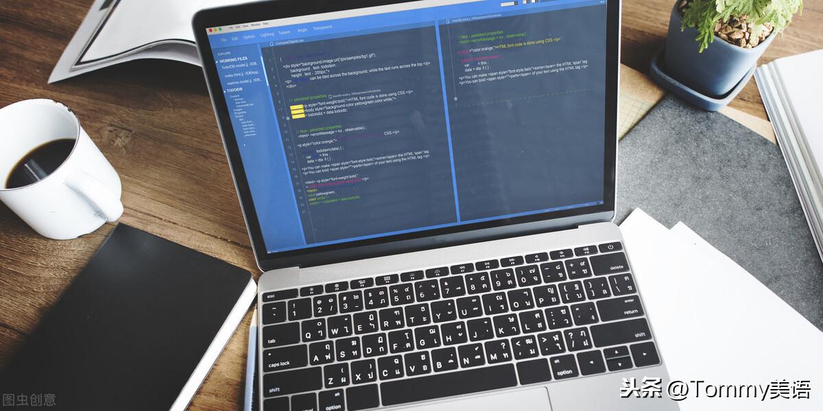 15秒记一个单词（第3230个）minor