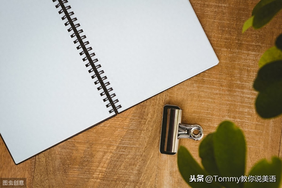 15秒一个单词（第2395个）object