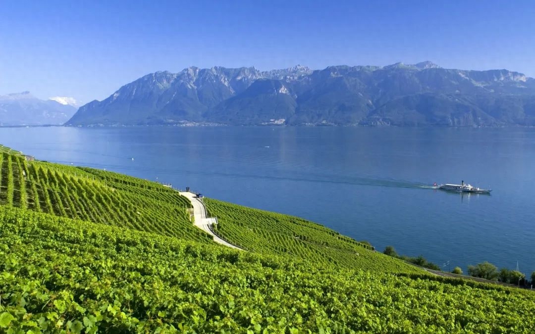 before 的用法看似简单，实则有很多深奥之处