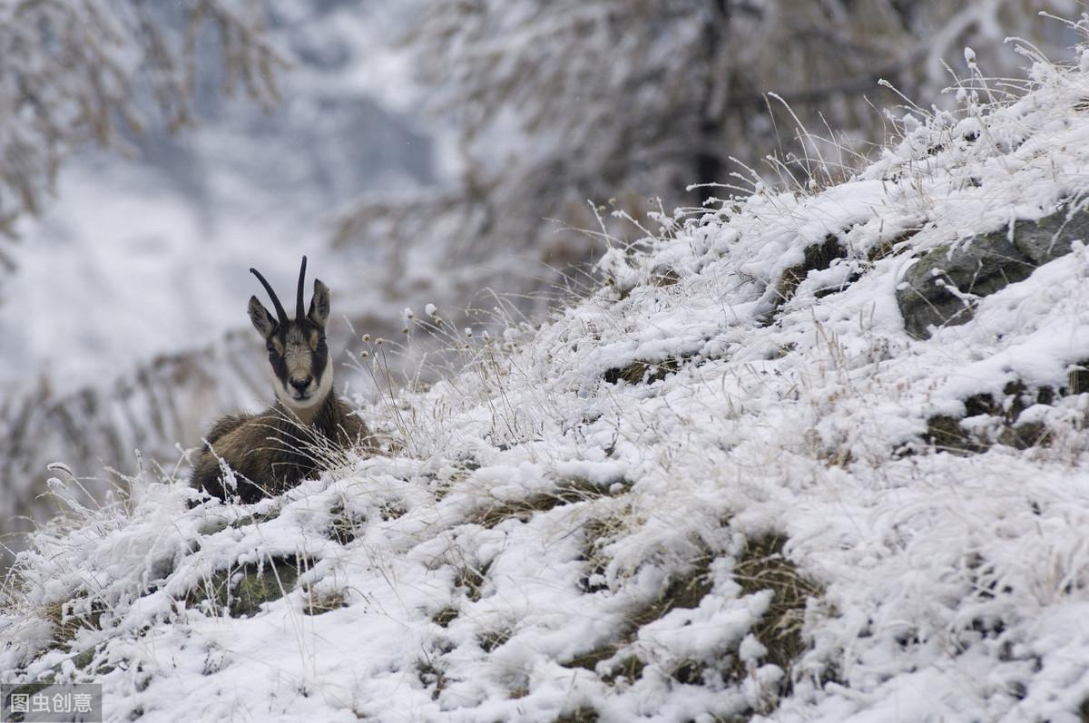 15秒记一个单词（第673个）minus