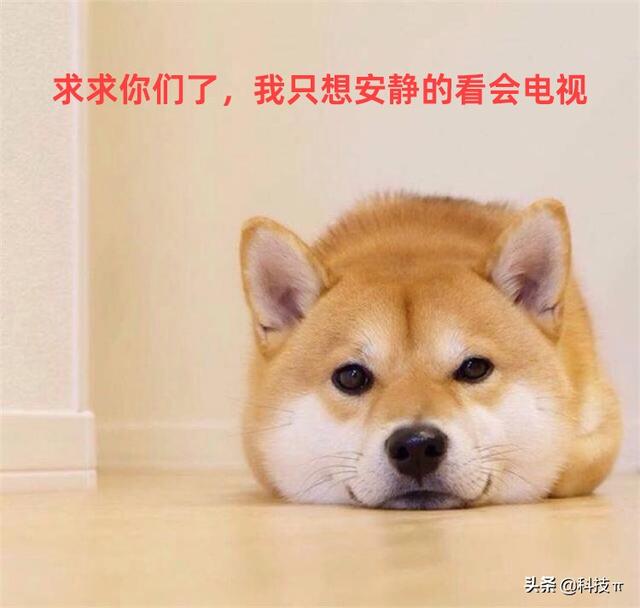 window10音效差怎么办（win10声音太小增强音质的设置方法）