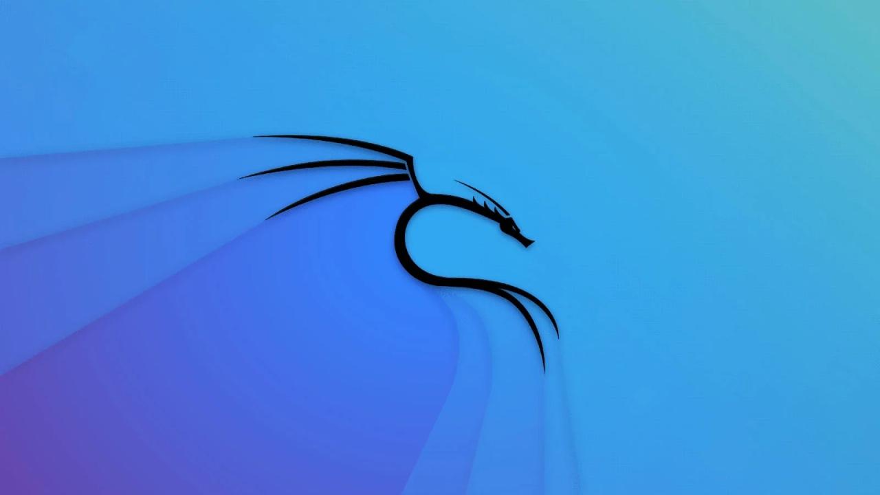 技术 | Kali Linux 简介：你需要了解的一切