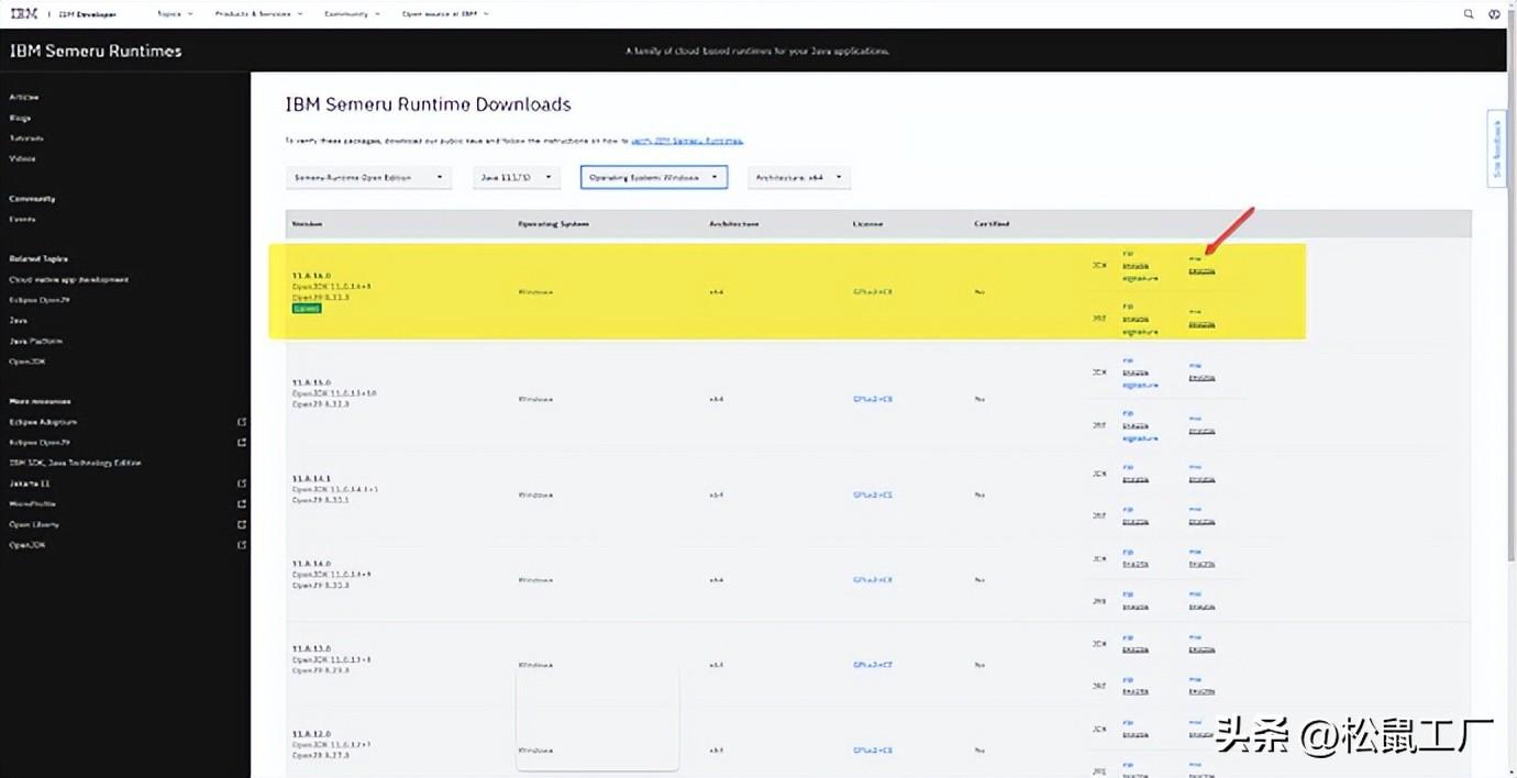 IBM Semeru JDK Windows 下的安装