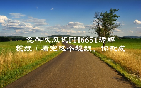 飞科吹风机FH6651拆解视频（看完这个视频，你就成了吹风机的专家）