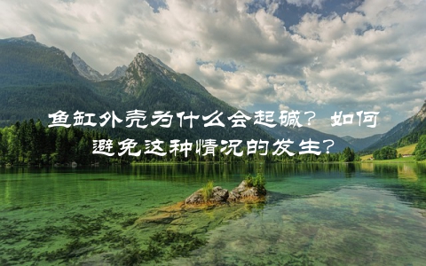 鱼缸外壳为什么会起碱？如何避免这种情况的发生？