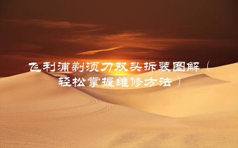 飞利浦剃须刀双头拆装图解（轻松掌握维修方法）