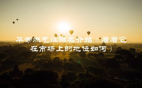 华帝燃气灶排名介绍（看看它在市场上的地位如何）