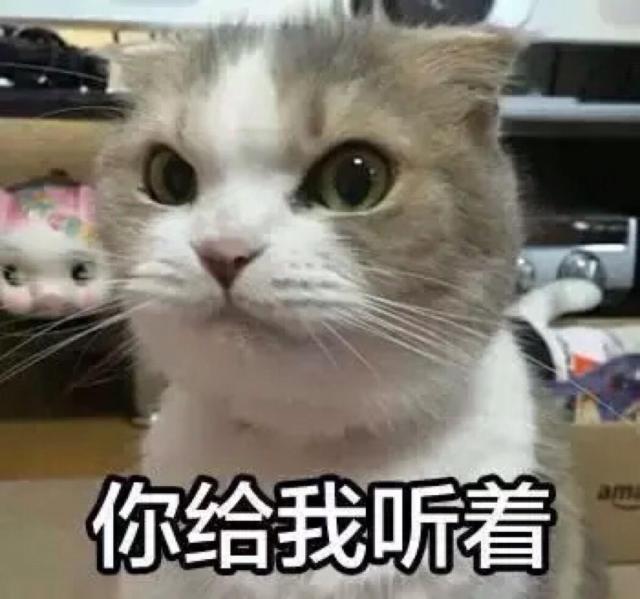 「企业招聘」你熟悉的华硕电脑喊你去上班啦