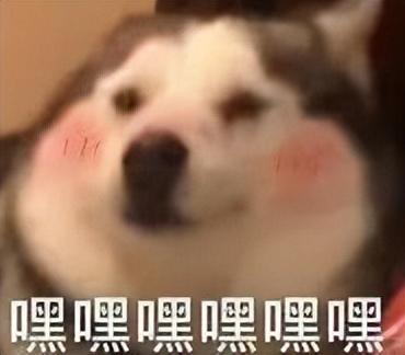 下载速度高达30M！这款极简版迅雷免费下载不限速，PC端必备