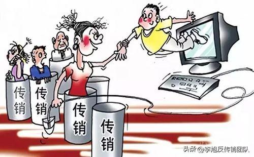 搭建“传销”网站合伙诈骗2000余万元