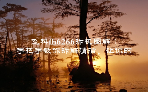 飞科fh6266拆机图解（手把手教你拆解清洁，让你的剃须刀更加耐用）