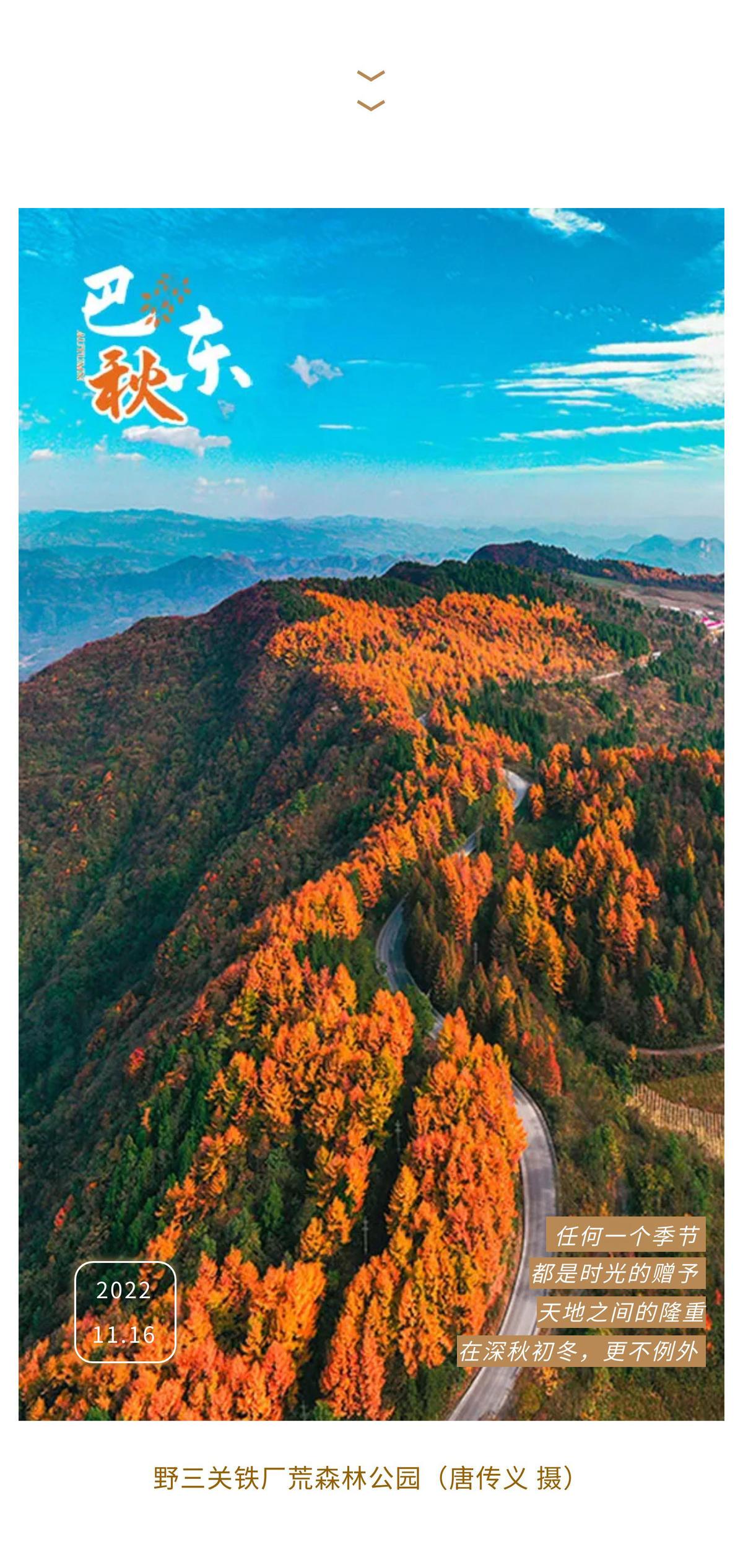 15张高清美图，带你静赏巴东秋色