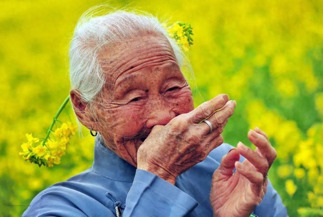 它是公认的长寿菜,吃一个=7个苹果2个番茄,增强免疫,腿脚灵活