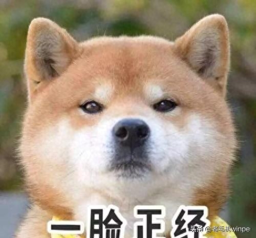 Win10自带杀毒软件如此强大,大家却不爱用,究竟是为什么呢?