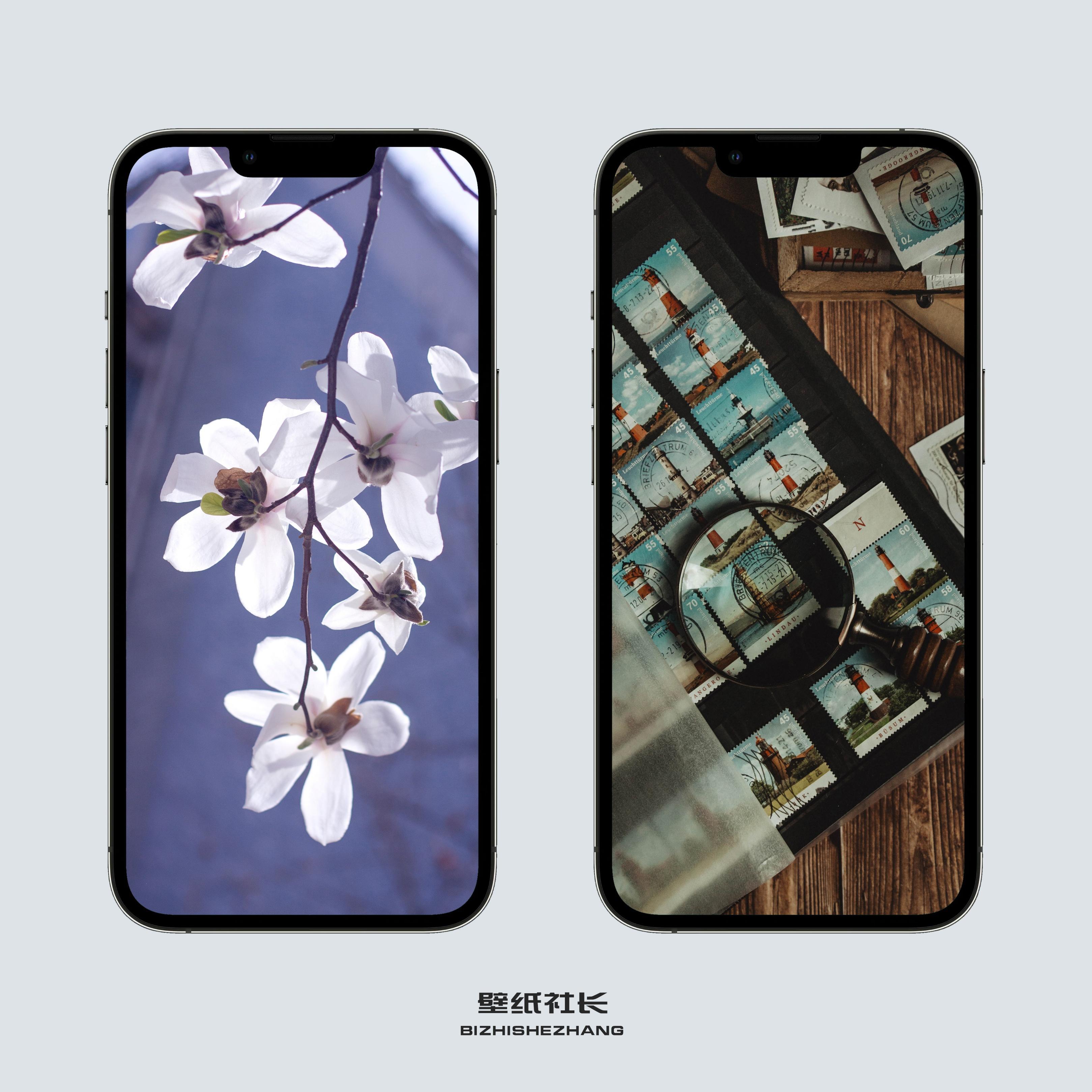 iPhone13及ProMax系列手机壁纸