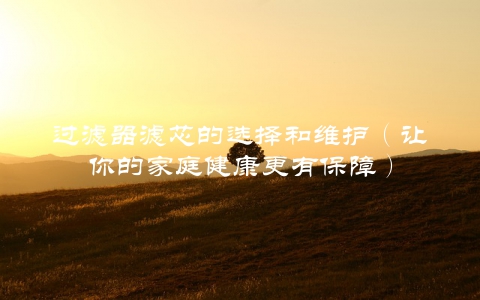 过滤器滤芯的选择和维护（让你的家庭健康更有保障）